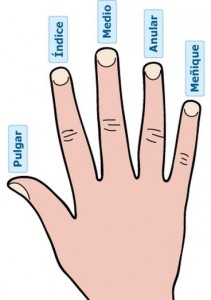 Como se llaman los dedos de las manos